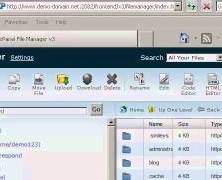 How to use the File Manager in cPanel