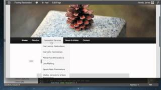 Wordpress CMS/Custom Menus Tutorial